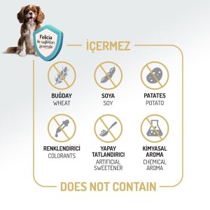 Felicia Mini Somonlu Düşük Tahıllı Hipoalerjenik Köpek Maması 3 kg - 4