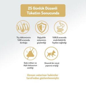 Felicia Mini Somonlu Düşük Tahıllı Hipoalerjenik Köpek Maması 3 kg - 5