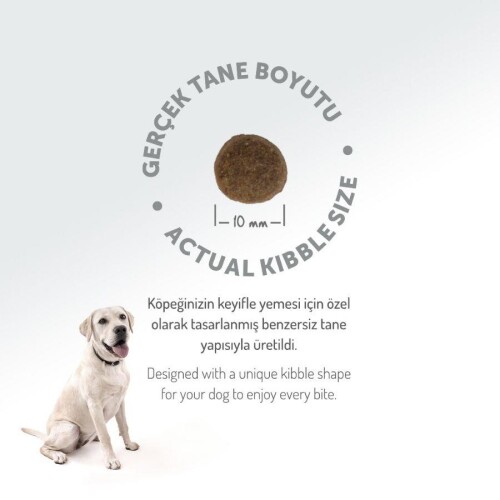 Felicia Mini Somonlu Düşük Tahıllı Hipoalerjenik Köpek Maması 3 kg - 6