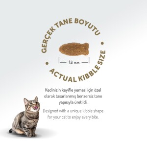 Felicia Somon Balıklı Düşük Tahıllı Hipoalerjenik Kedi Maması 2 kg - 8