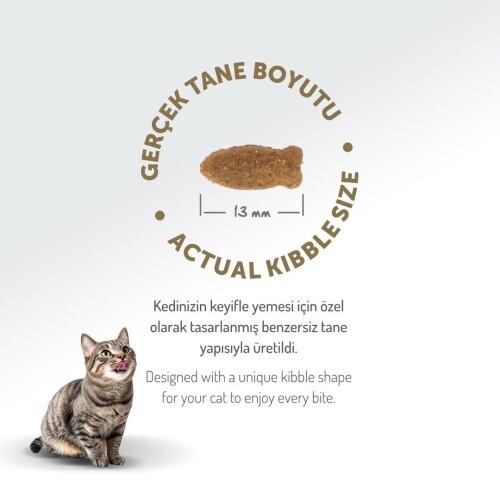 Felicia Somon Balıklı Düşük Tahıllı Hipoalerjenik Kedi Maması 2 kg - 8