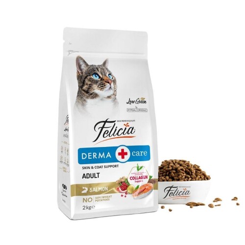 Felicia Somon Balıklı Düşük Tahıllı Hipoalerjenik Kedi Maması 2 kg - 1