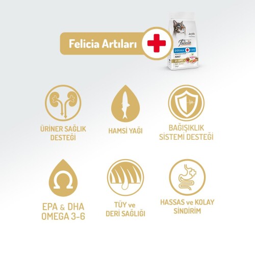 Felicia Somon Balıklı Düşük Tahıllı Hipoalerjenik Kedi Maması 2 kg - 3