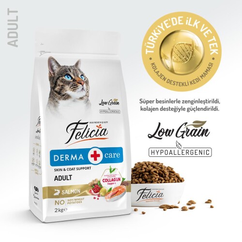 Felicia Somon Balıklı Düşük Tahıllı Hipoalerjenik Kedi Maması 2 kg - 2