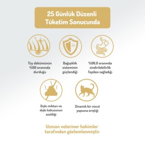 Felicia Somon Balıklı Düşük Tahıllı Hipoalerjenik Kedi Maması 2 kg - 6