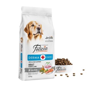 Felicia Somon Balıklı Düşük Tahıllı Hipoalerjenik Yetişkin Köpek Maması 15 kg - 1
