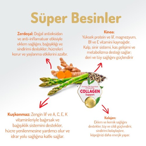 Felicia Somon Balıklı Düşük Tahıllı Hipoalerjenik Yetişkin Köpek Maması 15 kg - 4