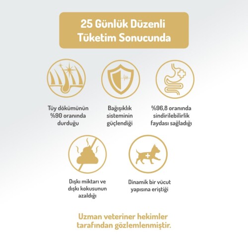 Felicia Somon Balıklı Düşük Tahıllı Hipoalerjenik Yetişkin Köpek Maması 15 kg - 6