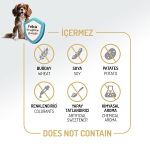 Felicia Somon Balıklı Düşük Tahıllı Hipoalerjenik Yetişkin Köpek Maması 15 kg - 5