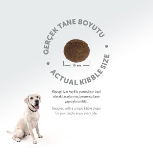 Felicia Somon Balıklı Düşük Tahıllı Hipoalerjenik Yetişkin Köpek Maması 15 kg - 8