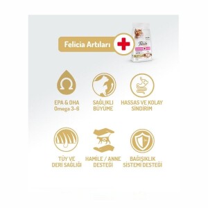 Felicia Tavuklu Düşük Tahıllı Yavru Kedi Maması 2 kg - 3