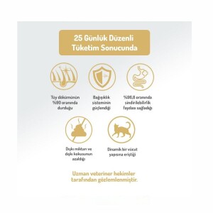 Felicia Tavuklu Düşük Tahıllı Yavru Kedi Maması 2 kg - 6