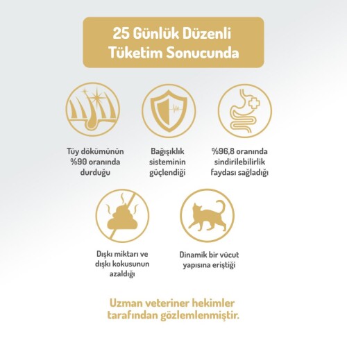 Felicia Tavuklu Az Tahıllı HypoAllergenic Yetişkin Kedi Maması 2 kg - 6