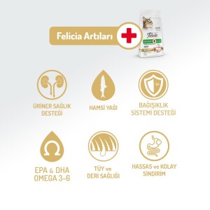 Felicia Yetişkin Tavuklu Az Tahıllı HypoAllergenic Kedi Maması 2 kg - 3