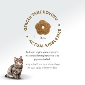 Felicia Yetişkin Tavuklu Az Tahıllı HypoAllergenic Kedi Maması 2 kg - 8