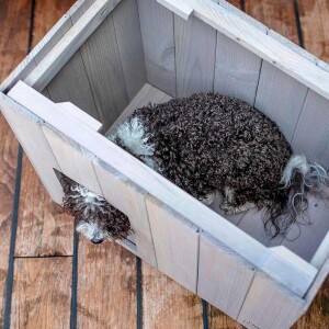 Ferplast Argo 50 Ahşap Kedi ve Köpek Kulübesi - 5