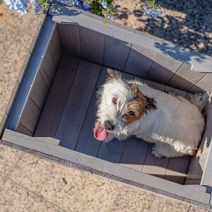 Ferplast Argo 60 Ahşap Köpek Kulübesi - 5