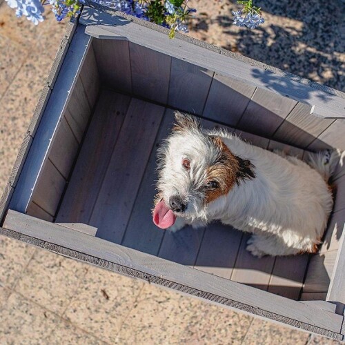 Ferplast Argo 60 Ahşap Köpek Kulübesi - 5