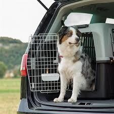 Ferplast Atlas 60 Köpek Taşıma Sepeti 91 X 61 X 66,5 cm - 2