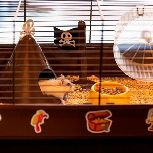 Ferplast Criceti 9 Beyaz Demirli Hamster Kafesi 46x29x23 cm - 4