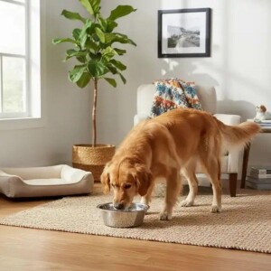 Ferplast Orion 52 Paslanmaz Çelik Mama ve Su Kabı 400 ml - 2