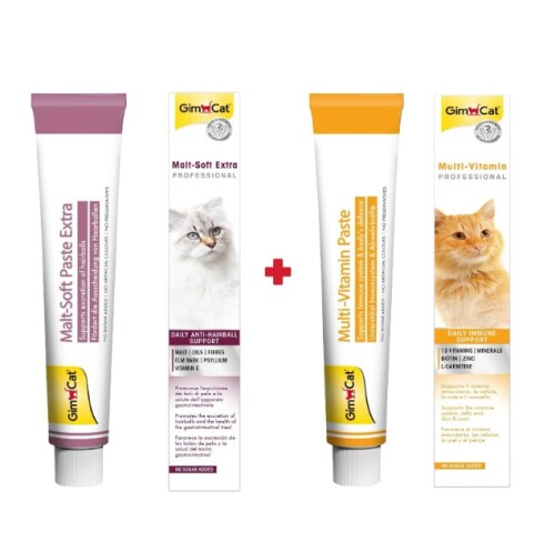 Gimcat Malt Soft Extra 100 gr + GimCat Multivitamin 100 gr 2'li Set - 1
