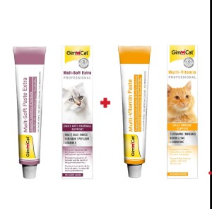 Gimcat Malt Soft Extra 20 gr + GimCat Multivitamin 20 gr 2'li Set - GimCat