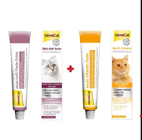 Gimcat Malt Soft Extra 20 gr + GimCat Multivitamin 20 gr 2'li Set - 1