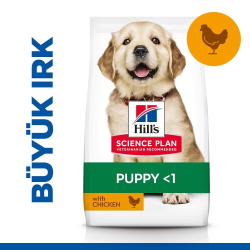 Hill's SCIENCE PLAN Büyük Irk Tavuklu Yavru Köpek Maması 14,5 kg - 1