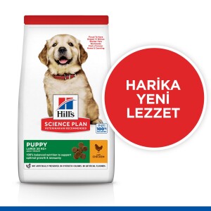 Hill's SCIENCE PLAN Büyük Irk Tavuklu Yavru Köpek Maması 14,5 kg - 3