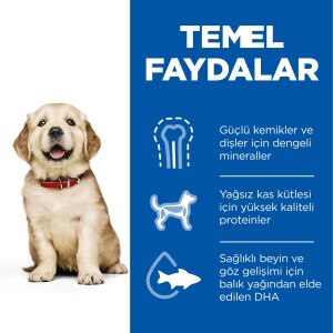 Hill's SCIENCE PLAN Büyük Irk Tavuklu Yavru Köpek Maması 14,5 kg - 4