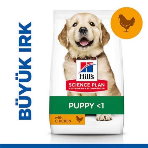Hill's SCIENCE PLAN Büyük Irk Tavuklu Yavru Köpek Maması 2,5 kg - 1