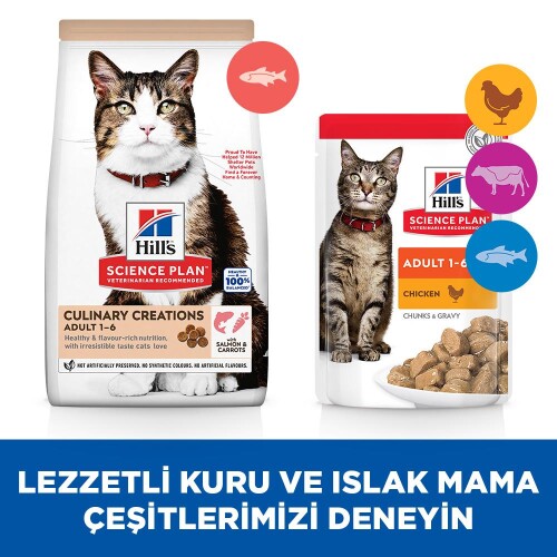 Hill's SCIENCE PLAN Gurme Lezzet Somonlu ve Havuçlu Yetişkin Kedi Maması 10 kg - 6