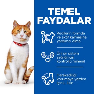 Hill's SCIENCE PLAN Kısırlaştırılmış Alabalıklı Kedi Pouch 85 gr - 3
