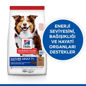Hill's SCIENCE PLAN +7 Yaşlı Orta Irk Kuzulu ve Pirinçli Köpek Maması 12 kg + 2 kg - 4