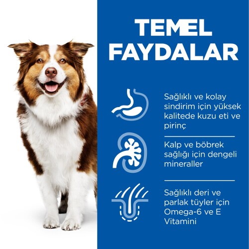 Hill's SCIENCE PLAN +7 Yaşlı Orta Irk Kuzulu ve Pirinçli Köpek Maması 12 kg + 2 kg - 6