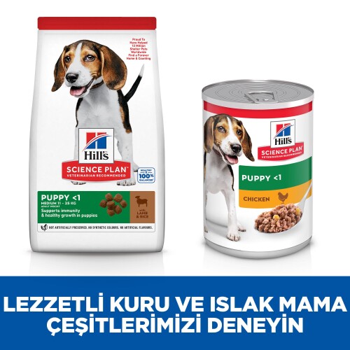 Hill's SCIENCE PLAN Orta Irk Kuzulu ve Pirinçli Yavru Köpek Maması 2,5 kg - 4