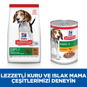 Hill's SCIENCE PLAN Orta Irk Kuzulu ve Pirinçli Yavru Köpek Maması 2,5 kg - 4