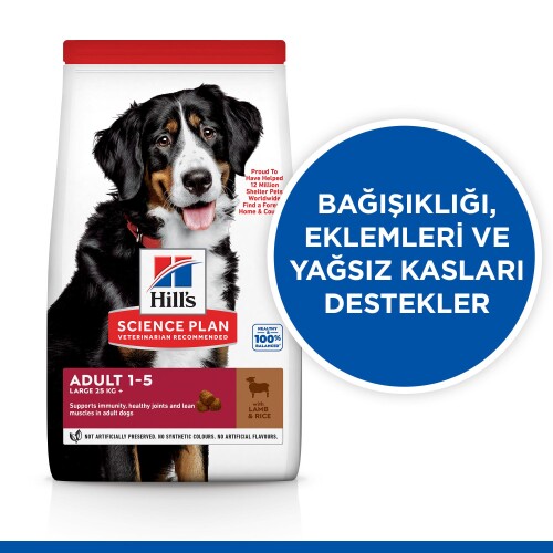 Hill's SCIENCE PLAN Yetişkin Büyük Irk Kuzulu ve Pirinçli Köpek Maması 14 Kg - 2