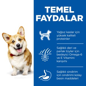 Hill's SCIENCE PLAN Yetişkin Küçük ve Mini Irk Tavuklu Köpek Maması 1,5 kg - 4