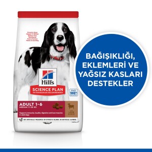 Hill's SCIENCE PLAN Yetişkin Orta Irk Kuzulu ve Pirinçli Köpek Maması 12 kg + 2 kg - 2
