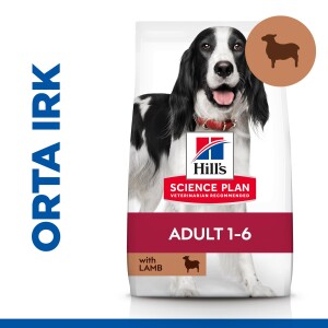 Hill's SCIENCE PLAN Yetişkin Orta Irk Kuzulu ve Pirinçli Köpek Maması 2,5 kg - Hill's Science Plan