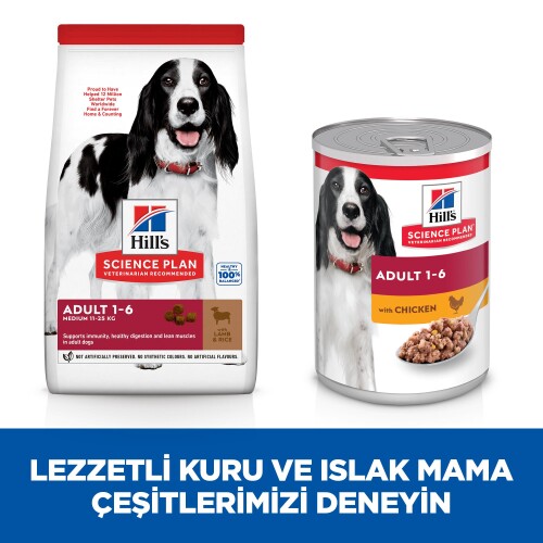 Hill's SCIENCE PLAN Yetişkin Orta Irk Kuzulu ve Pirinçli Köpek Maması 2,5 kg - 6