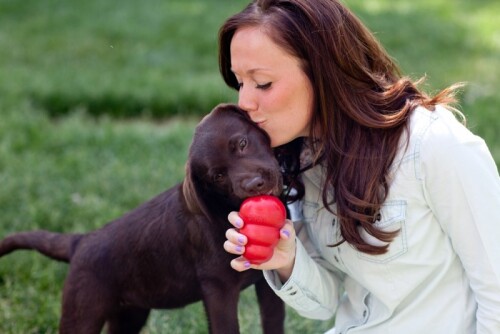 Kong Classic Köpekler İçin Çok Amaçlı Isırma Oyuncağı Ultra Sert XL - 5