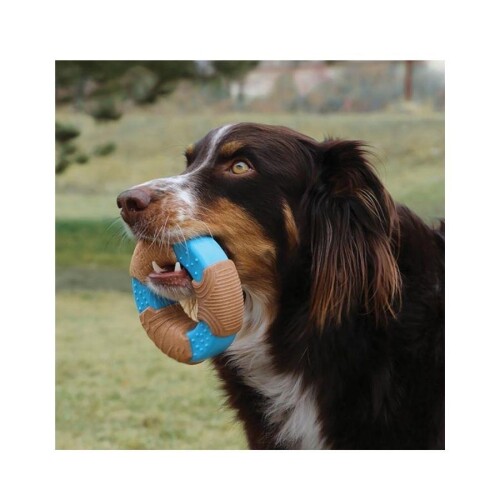 Kong Core Strength Halka Şeklinde Köpek Oyuncağı S - 3