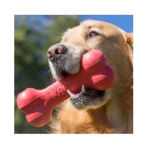 Kong Goodie Bone Kemik Şeklinde Çok Amaçlı Köpek Oyuncağı M - 3