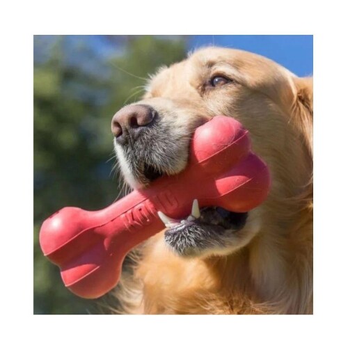 Kong Goodie Bone Kemik Şeklinde Çok Amaçlı Köpek Oyuncağı M - 3