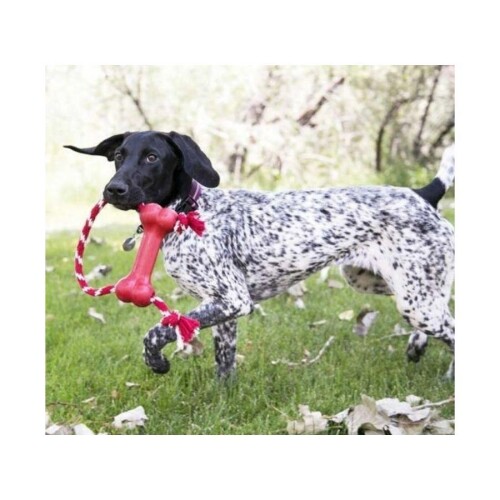 Kong Goodie Bone Kemik Şeklinde İp Sallantılı Çok Amaçlı Köpek Oyuncağı M - 2