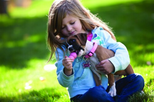 Kong Puppy Küçük Irk Yavru Köpek Isırma Oyuncağı S - 6
