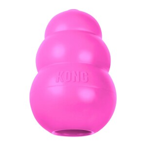 Kong Puppy Küçük Irk Yavru Köpek Isırma Oyuncağı XS - Kong